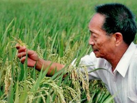 袁隆平成为中国农民丰收节推广大使，此外还有这5人获聘