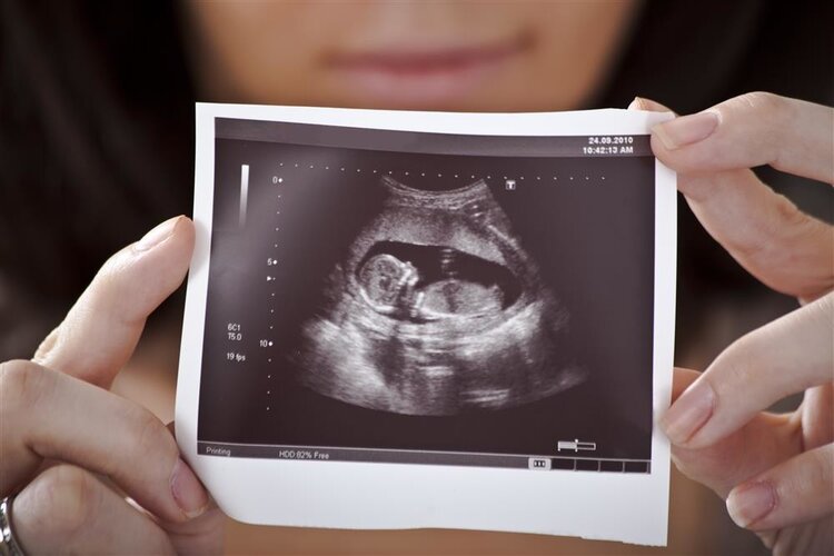 胚胎停育都是有前兆的，如果有这些症状要及时就医，保胎还来得及